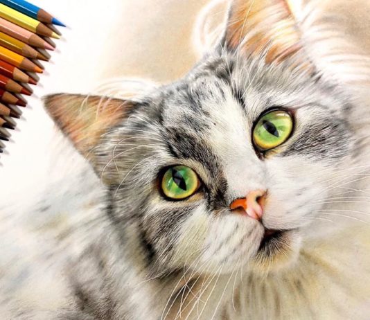 Artist Creates Unbelievably Realistic Drawings of Animals