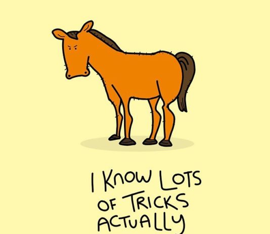 Artist Creates Funny Drawings Of Grumpy Animals