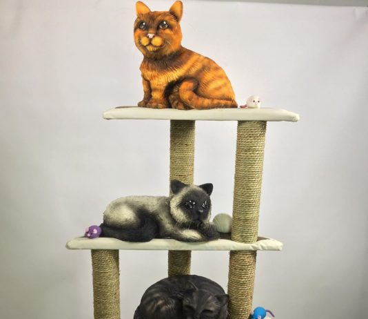 Former Makeup Artist Bakes Unbelievably Realistic Cakes