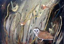 Australian Painter Captures the Many Grassland Birds