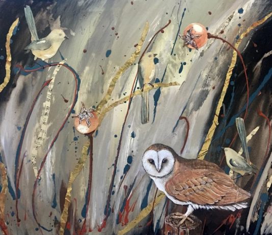 Australian Painter Captures the Many Grassland Birds