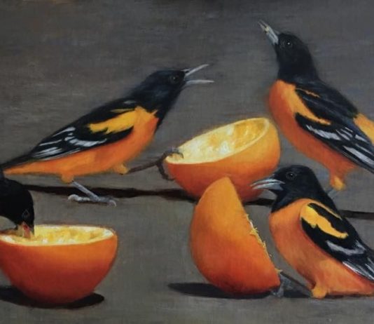 Rose Tanner Lovingly Captures the Many Birds of Our World