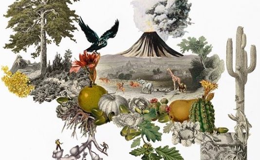 Surrealism Meets Pop-Art: Follow Collage Artist Maria Rivans