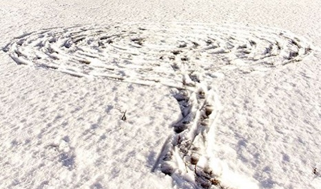 These Drawings Were Created On Snow-Covered Landscapes