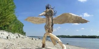 Artist Creates Remarkable Sculptures From Driftwood He Found On the Beach