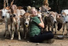 These Volunteers Watch Over the Animals of India