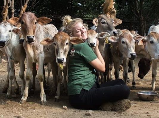These Volunteers Watch Over the Animals of India
