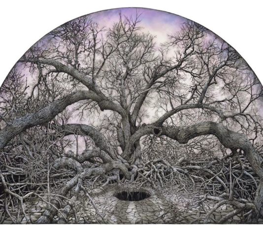 LA Artist Makes Stunning Drawings Inspired by Trees