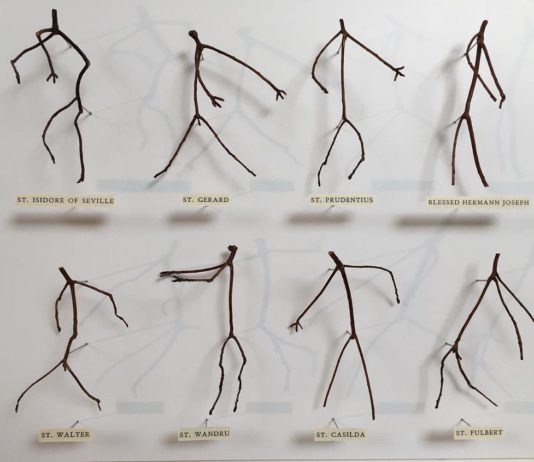 Artist Uses Twigs and Branches to Create Tiny Dancers