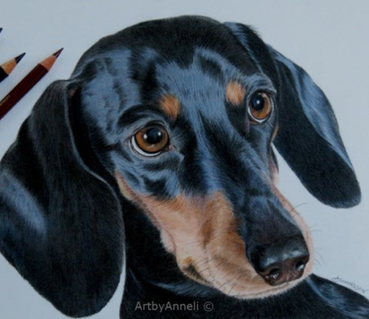 Woman Draws Realistic-Looking Animal Portraits Using Colored Pencils