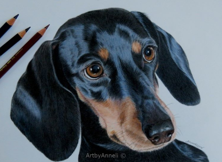 Woman Draws Realistic-Looking Animal Portraits Using Colored Pencils ...