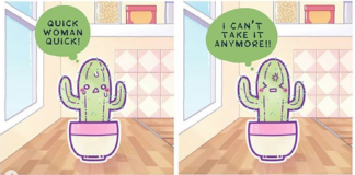 Two Artists Create Hilarious Comic About Succulents