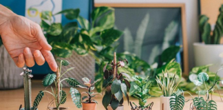 Artist Creates Tiny Paper Plants Smaller Than Your Hand