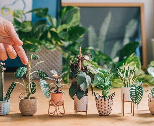Artist Creates Tiny Paper Plants Smaller Than Your Hand
