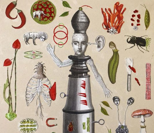 Where Beauty is Strange and Creatures Are Curious: Katie McCann’s Collage Art