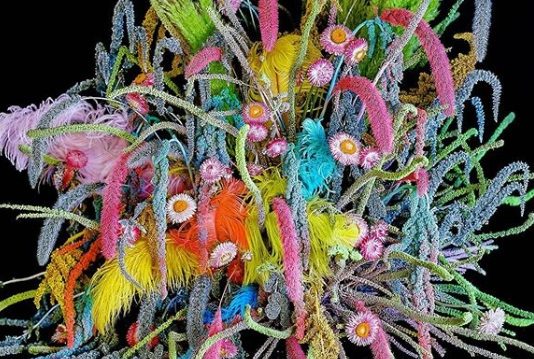 These Flower Arrangements Are Out of This World