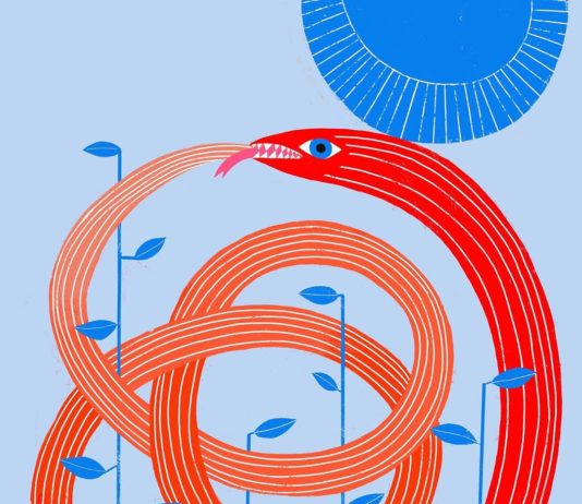 Lisa Congdon is a Self-Made Artist Through and Through