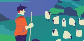 Colorful Illustrations Made By Dani Maiz