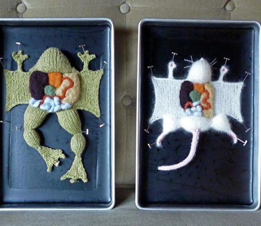 Artist Knits Various Animal Dissections You Might Find Weird