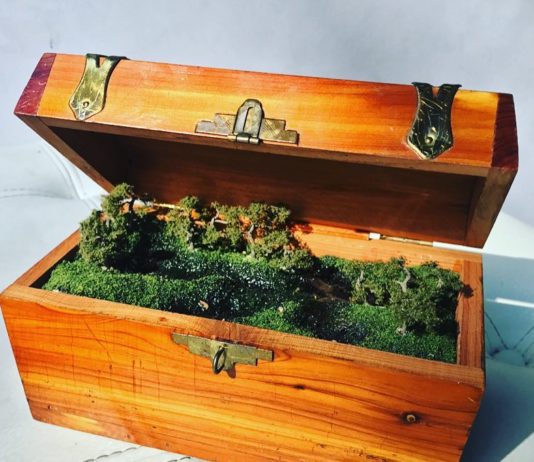 Environmental Artist Packs Entire Ecosystems into Suitcases