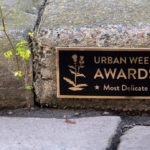 Artist does Funny Miniature Urban Interventions