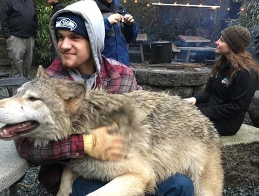 This Wildlife Sanctuary Will Let You Pet Wolves!