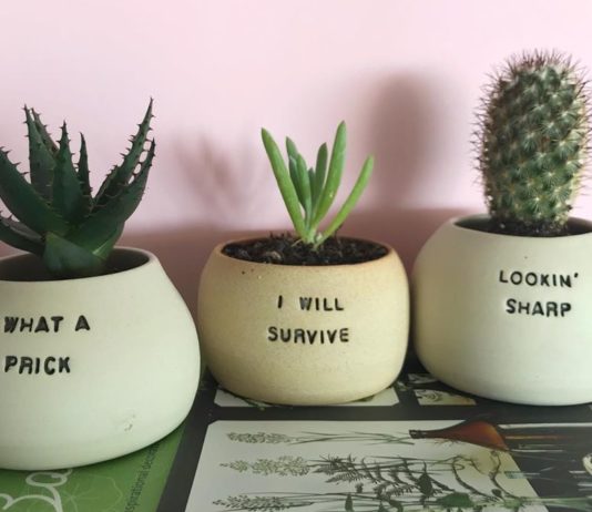Ceramic Artist Crafts Funny Punny Pots for Your Plants