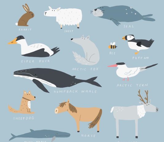 Katrin Wiehle’s Illustrations Appeal to Small Children