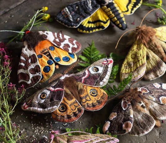 Emily Yeadon Makes Moths, Butterflies, and Fungi out of Fabric