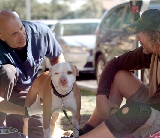 This “Street Vet” Helps the Homeless Care for Their Pets