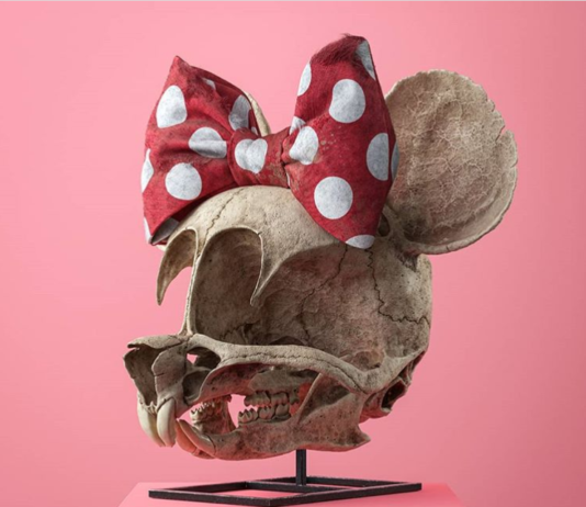 Artist Uses Skulls to Recreate Famous Cartoon Characters