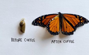 Ali Beckman Creates Entertaining Illustrations Using Real Insects
