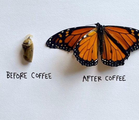 Ali Beckman Creates Entertaining Illustrations Using Real Insects