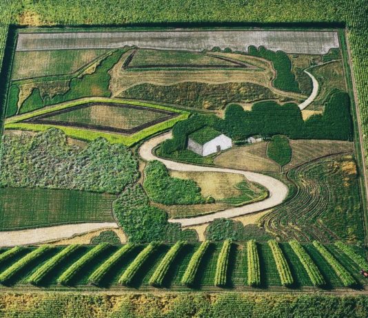 Stan Herd Creates Astonishing Large-Scale Land Art