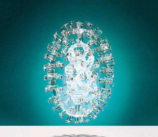 Glass Reproductions of Viruses and Bacteria by Luke Jerram