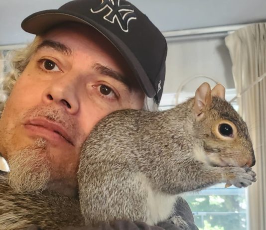 Man Wanted to Release Rescue Squirrel to the Wild, But She Didn’t Want to Leave