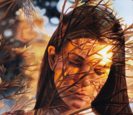 Austin Howlett is a Master at Surreal Art