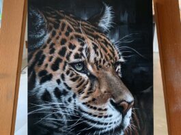 Lucy Joyce Creates Life-Like Artwork of Wildlife and Pets