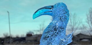 Watch an Artist Carve a Toucan Out of a Single Block of Ice in 2 Hours