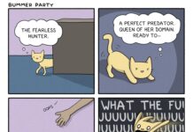Artist Creates Sad, Silly Comics for Sad, Silly People