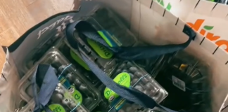 TikToker Makes a Typo in Grocery Order, Receives $700 Worth of Blueberries