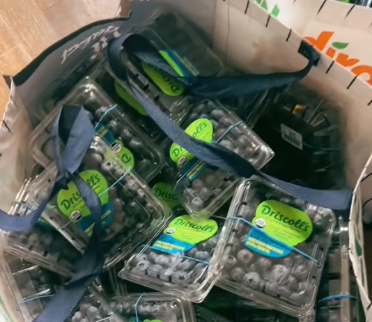 TikToker Makes a Typo in Grocery Order, Receives $700 Worth of Blueberries
