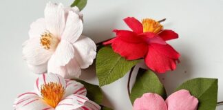Inga Ilze Peterson’s Paper Flowers Will Make You Do a Double Take
