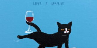 Studio After Cigs’ Illustrations Celebrate Their Sassy Black Cat
