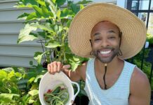 The Black Plant Man Will Help Your Home Garden Bloom