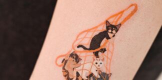 Salt Inkso is Making a Splash With Quirky “Cats in Bags” Tattoos