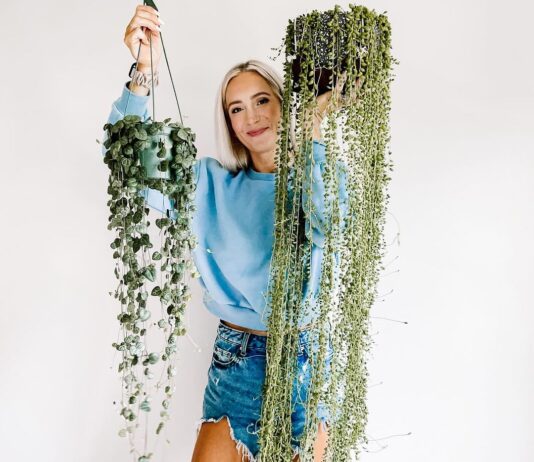 Samantha Hermann Has Had a Plant Journey