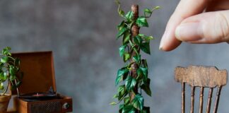 Hannah Lemon is Making the Tiniest Plants You’ll Ever See