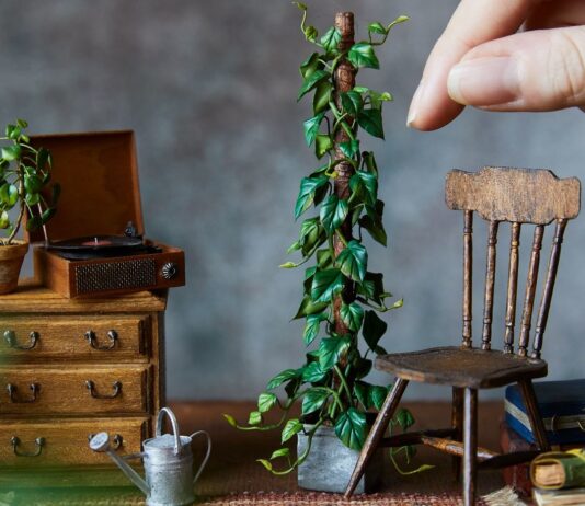 Hannah Lemon is Making the Tiniest Plants You’ll Ever See