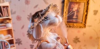 Brazilian Artist Makes Adorable Felted Mice Dressed in Whimsical Outfits